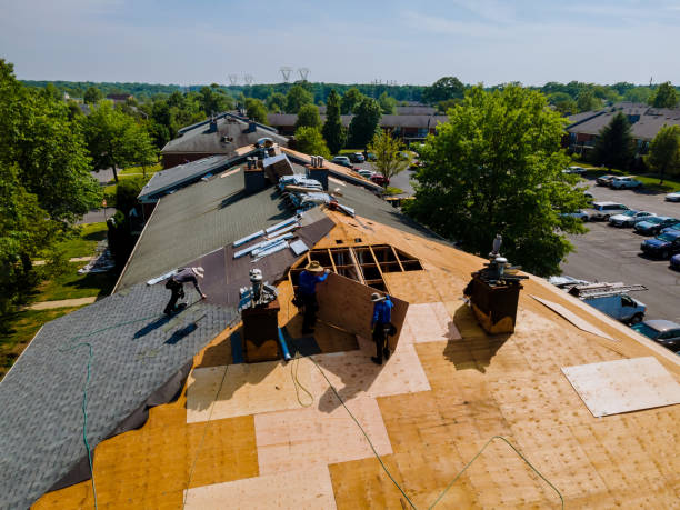 Trusted Emergency Roof Repair service in Otis, OR - Brentwood Metal Roofing